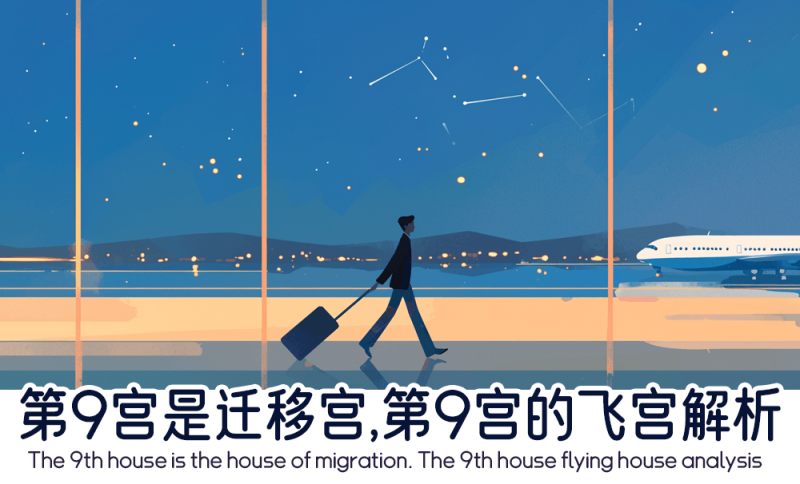 第9宫的飞宫解析