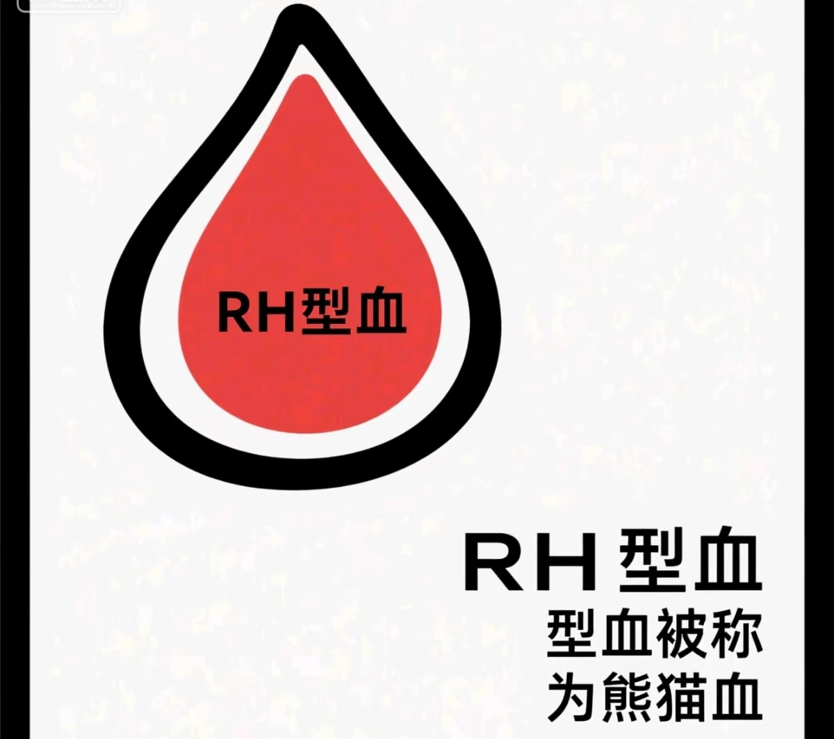 RH型血被称为熊猫血的原因你知道吗？