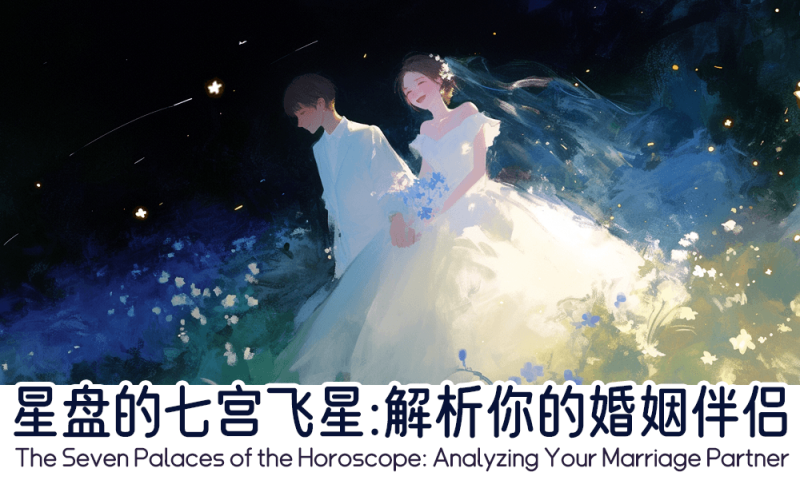 星盘的七宫飞星