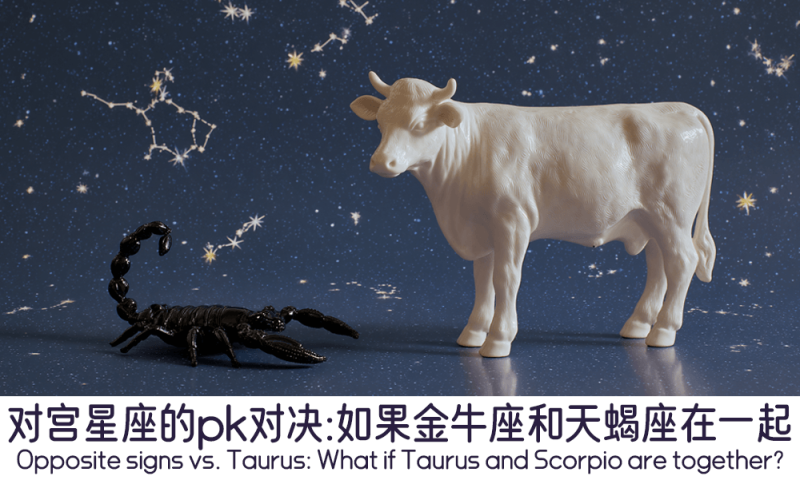 如果金牛和天蝎座在一起