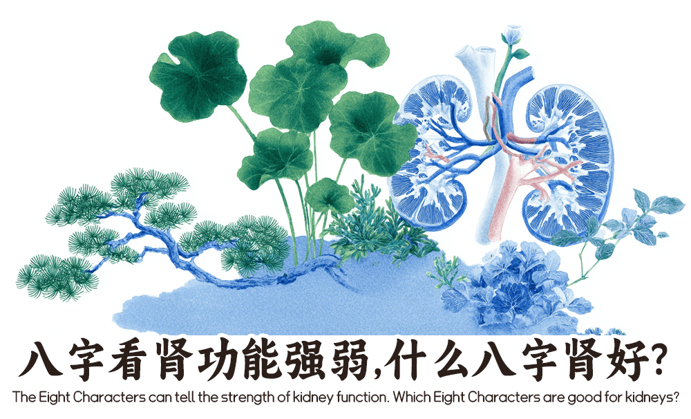 八字看肾功能强弱，什么八字肾好？