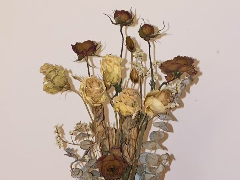 烂桃花