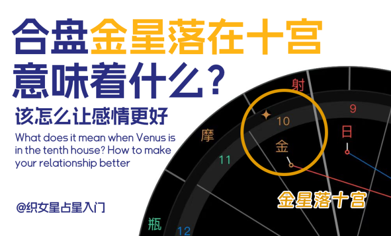 合盘金星落在十宫