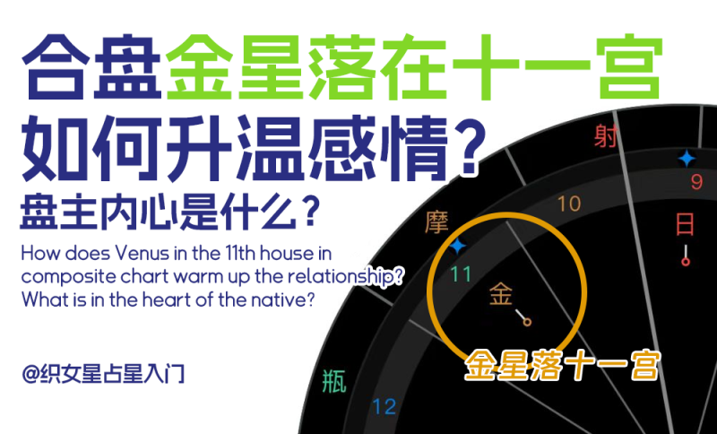 合盘金星落在十一宫