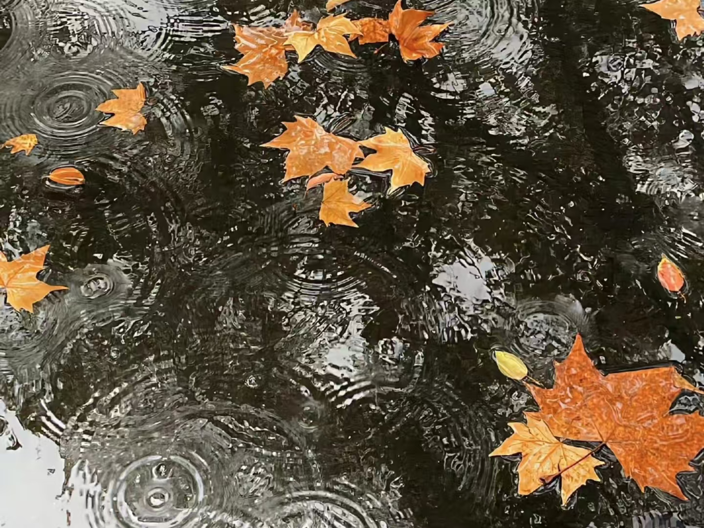 梦见下雨有什么样的寓意呢？是好兆头吗？