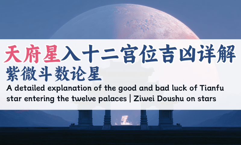 天府星入十二宫位