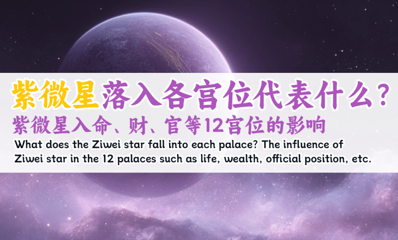 紫微星落入各宫位代表什么