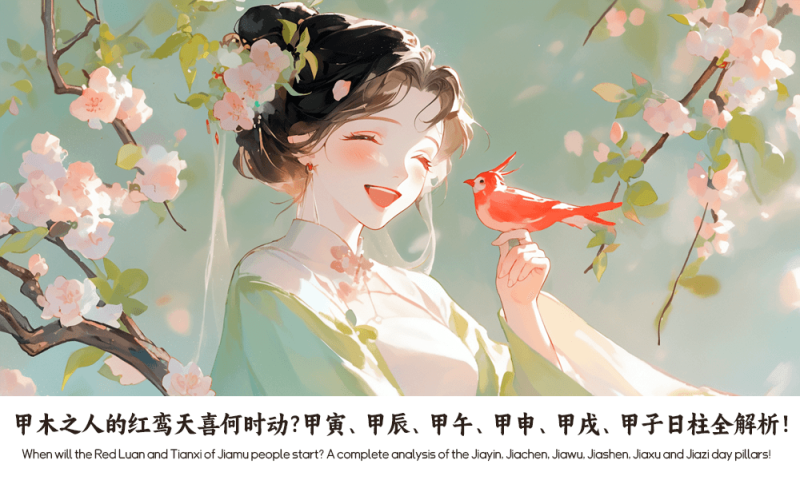 甲木之人的红鸾天喜
