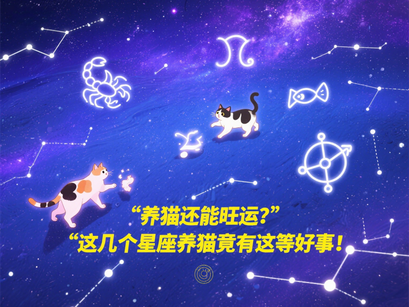 养猫的星座