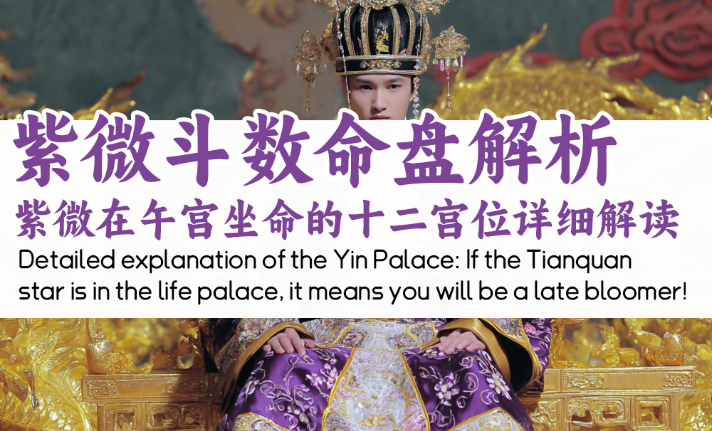 紫微斗数命盘解析｜紫微在午宫坐命的十二宫位详细解读