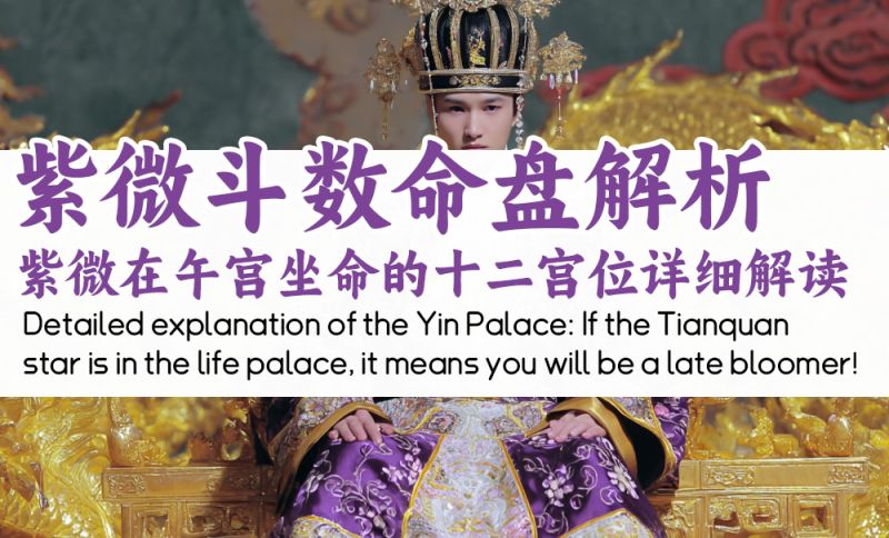 紫微在午宫坐命的十二宫位