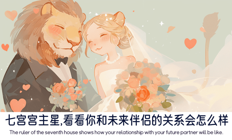 七宫宫主星的落宫解析