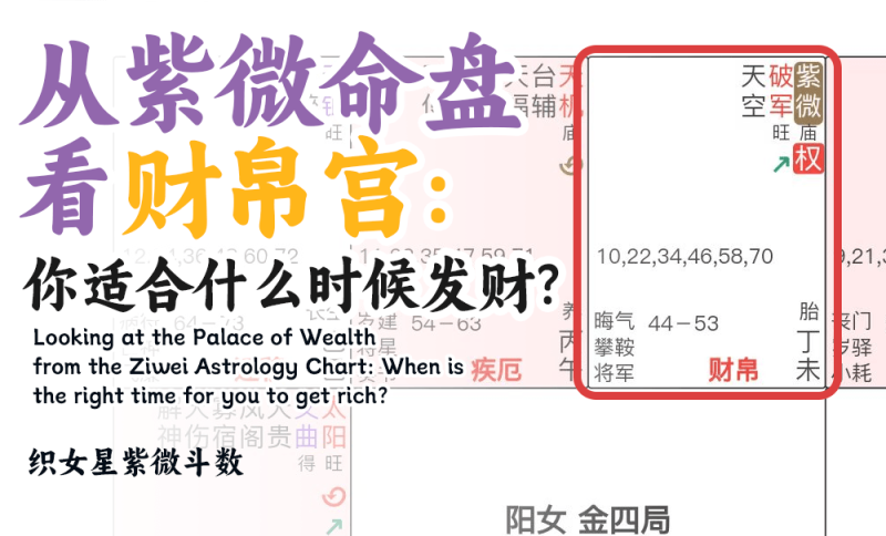 紫微盘财帛宫