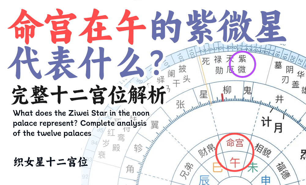 命宫在午的紫微星代表什么？完整十二宫位解析