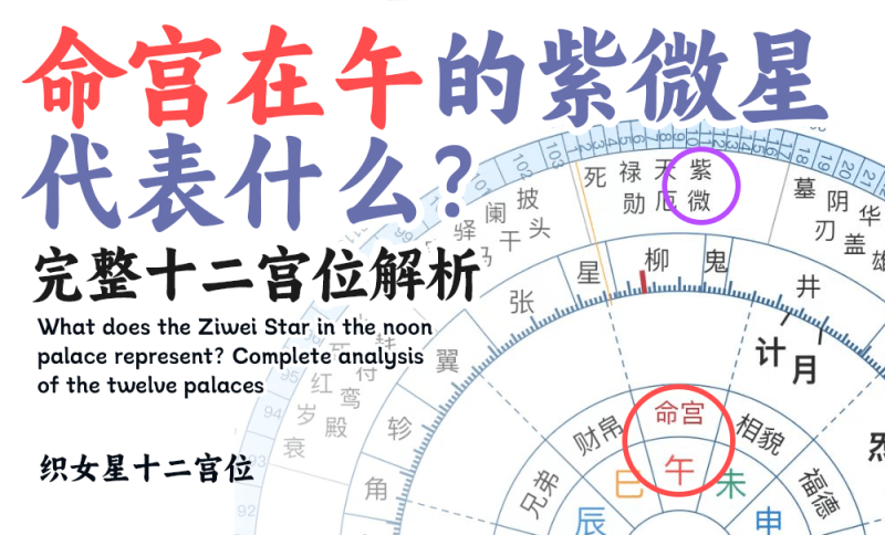 命宫在午的紫微星