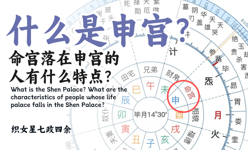 什么是申宫