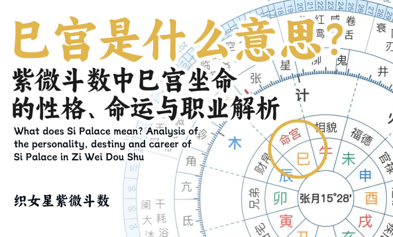巳宫是什么意思