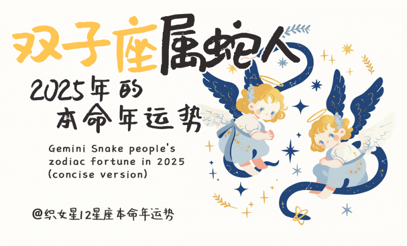 2025年运势，属蛇，本命年，双子座属蛇