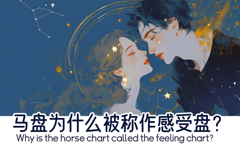 马盘为什么被称作感受盘？    