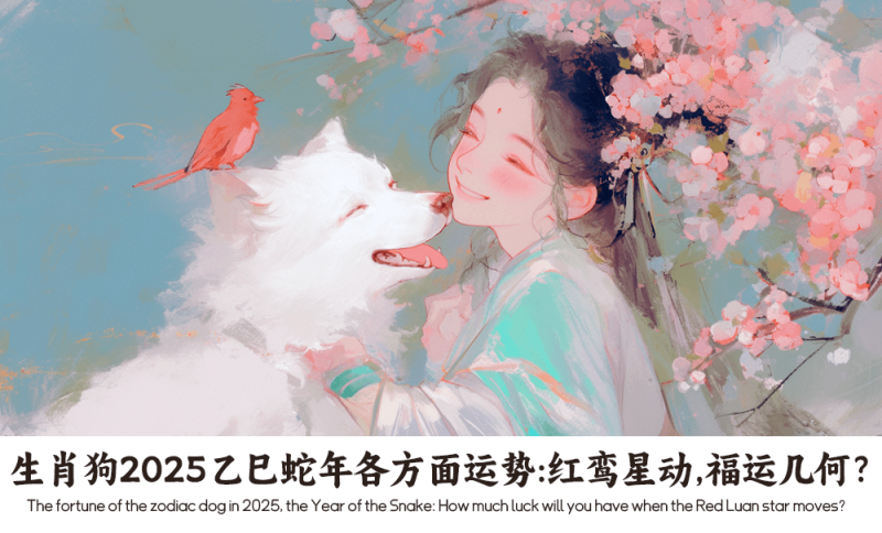 生肖狗2025乙巳蛇年