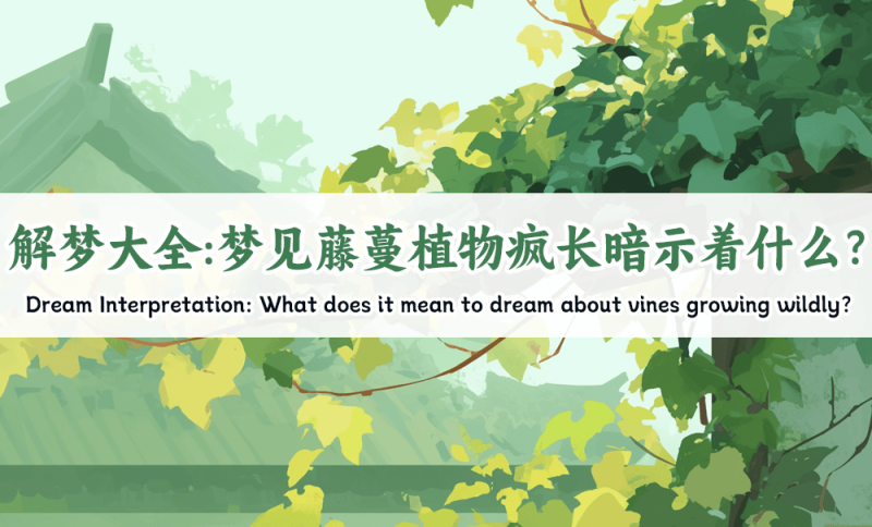 梦见藤蔓植物疯长