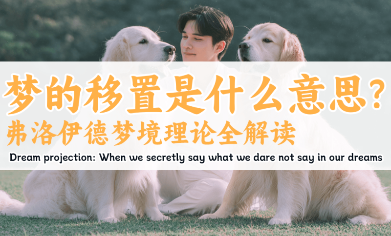 梦的移置