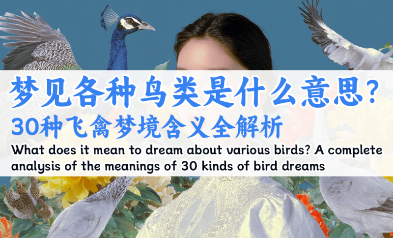30种飞禽梦境含义