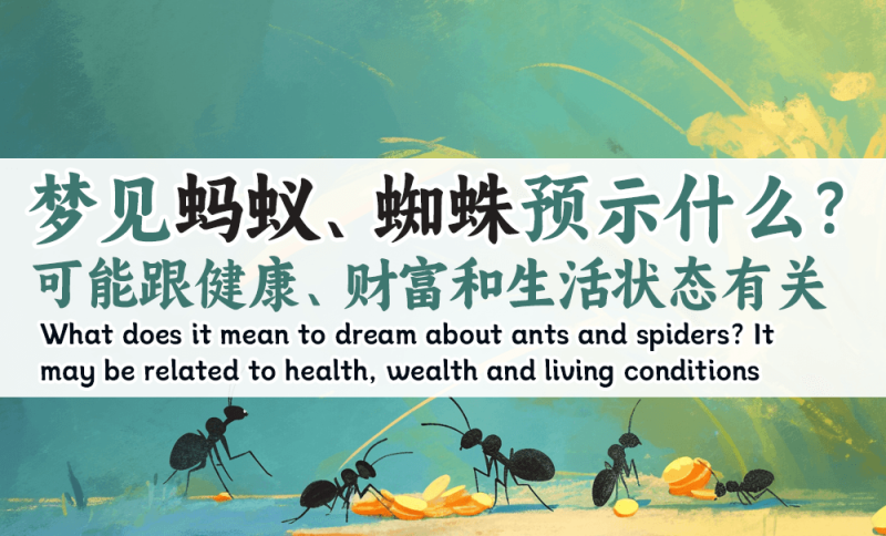 梦见蚂蚁、蜘蛛