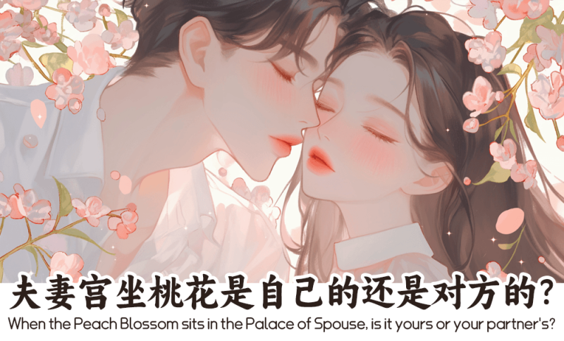 夫妻宫坐桃花