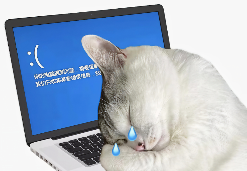 “系统过载，正在死机”。