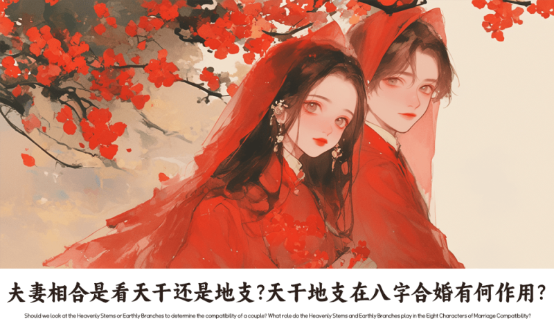 夫妻相合是看天干还是地支
