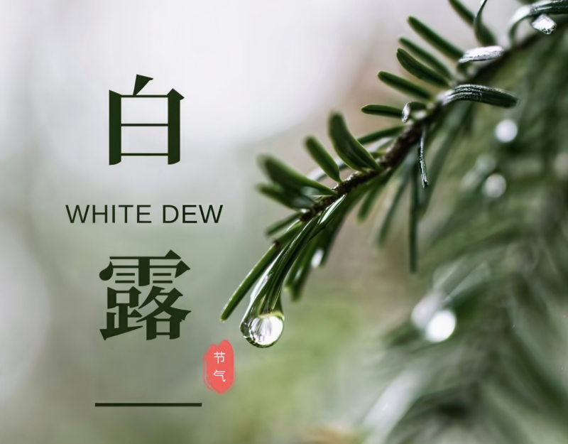 白露