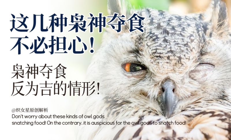枭神夺食