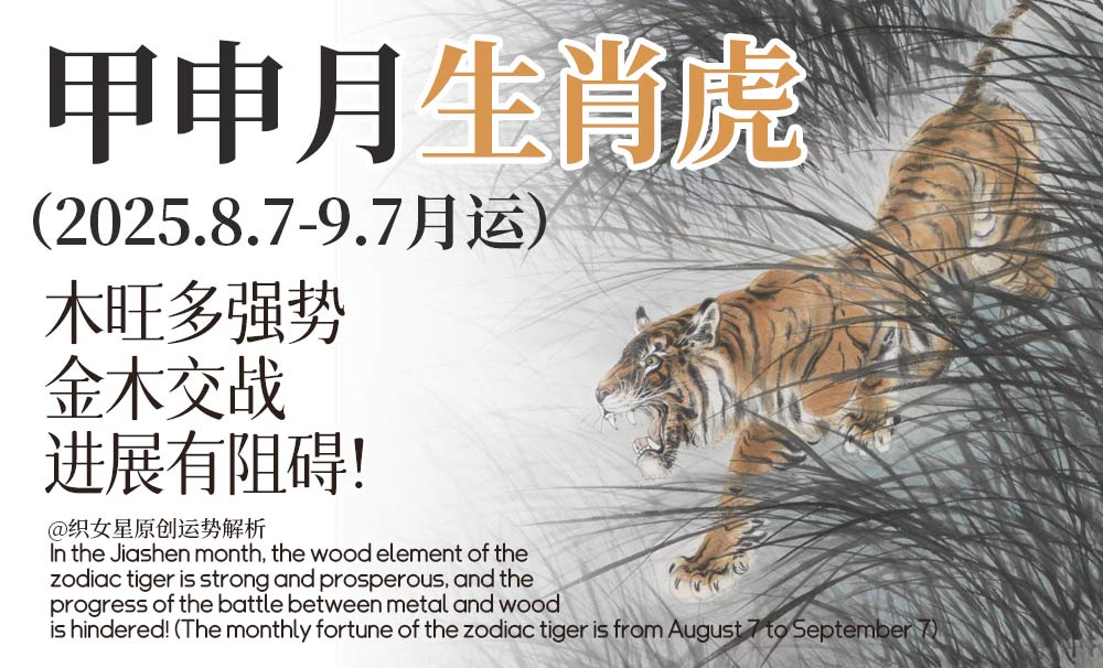 甲申月生肖虎木旺多强势，金木交战进展有阻碍！（生肖虎8.7-9.7月运）