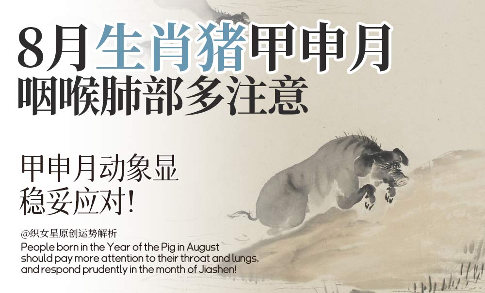 8月生肖猪