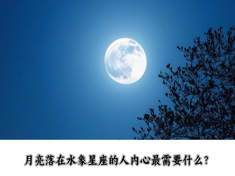 月亮落在水象星座的人，内心最需要什么？