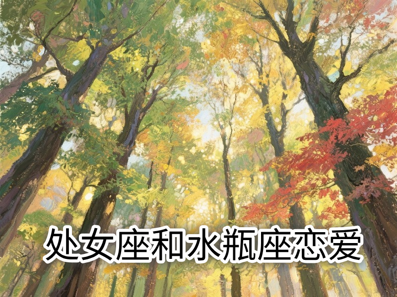 处女座和水瓶座相爱