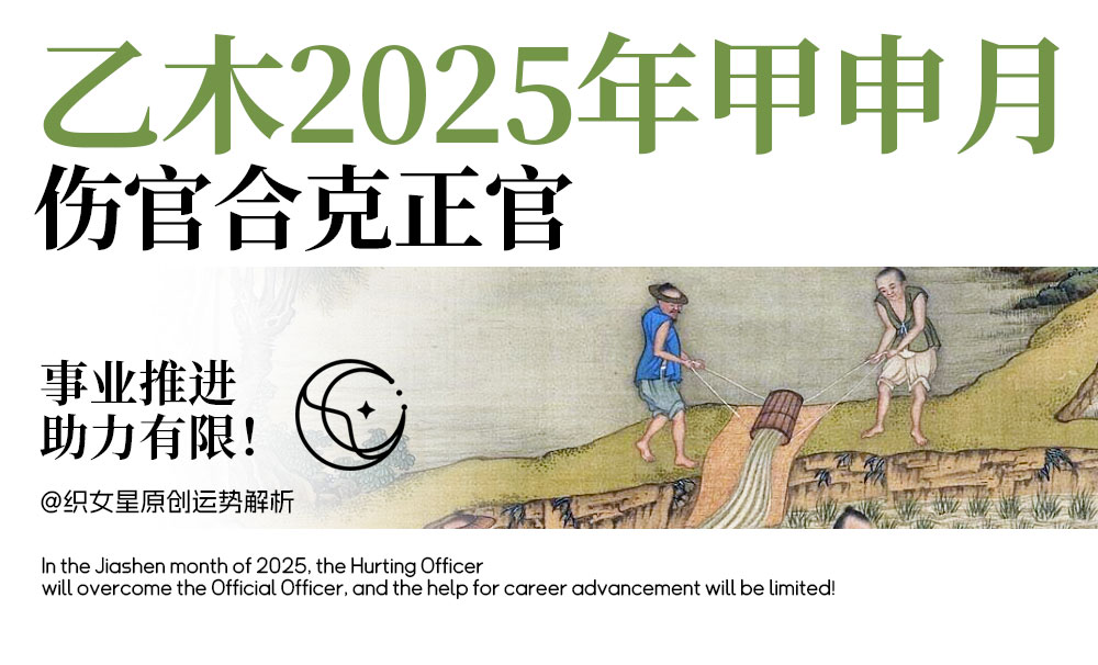 乙木2025年甲申月