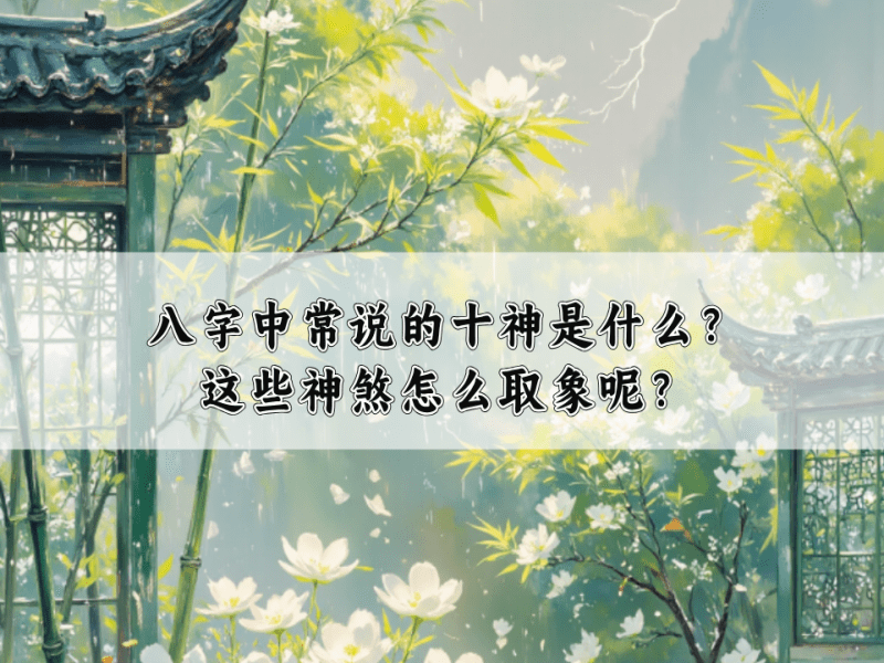 八字中常说的十神是什么？这些神煞怎么取象呢？