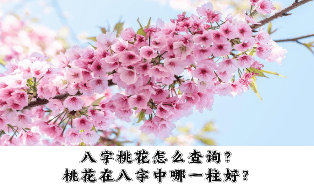 八字桃花怎么查询？桃花在八字中哪一柱好？