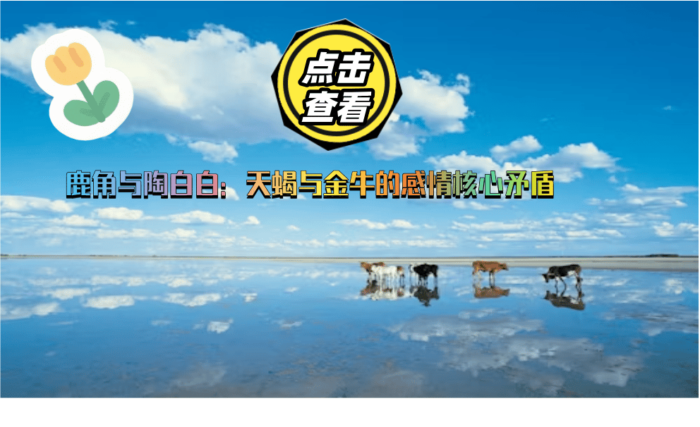角与陶白白：天蝎与金牛的感情核心矛盾鹿