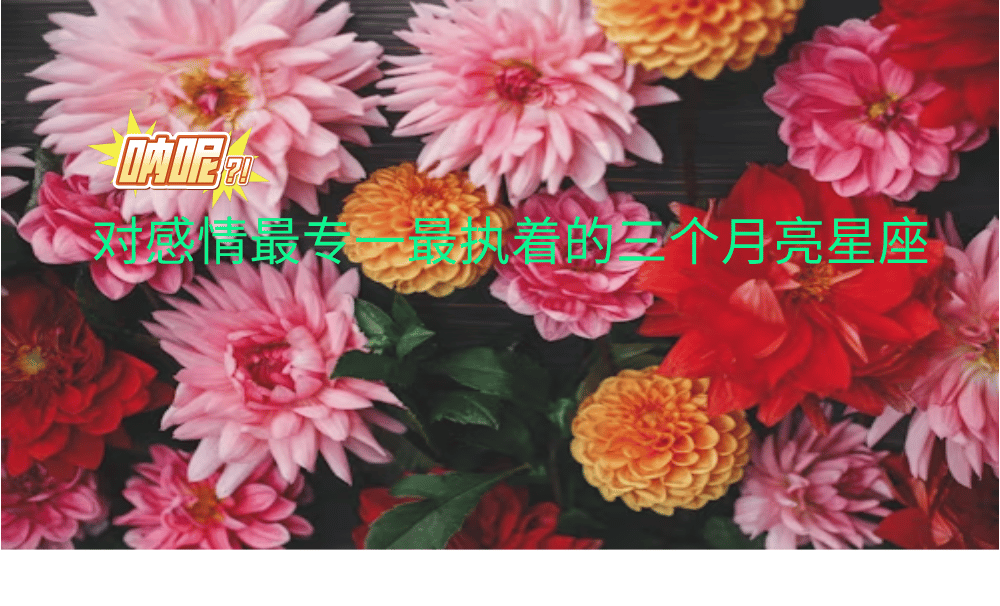 对感情最专一最执着的三个月亮星座