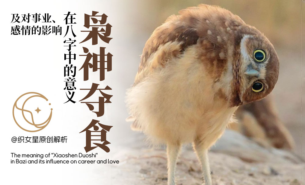 枭神夺食是什么意思