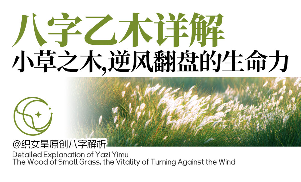 八字乙木详解——小草之木，逆风翻盘的生命力