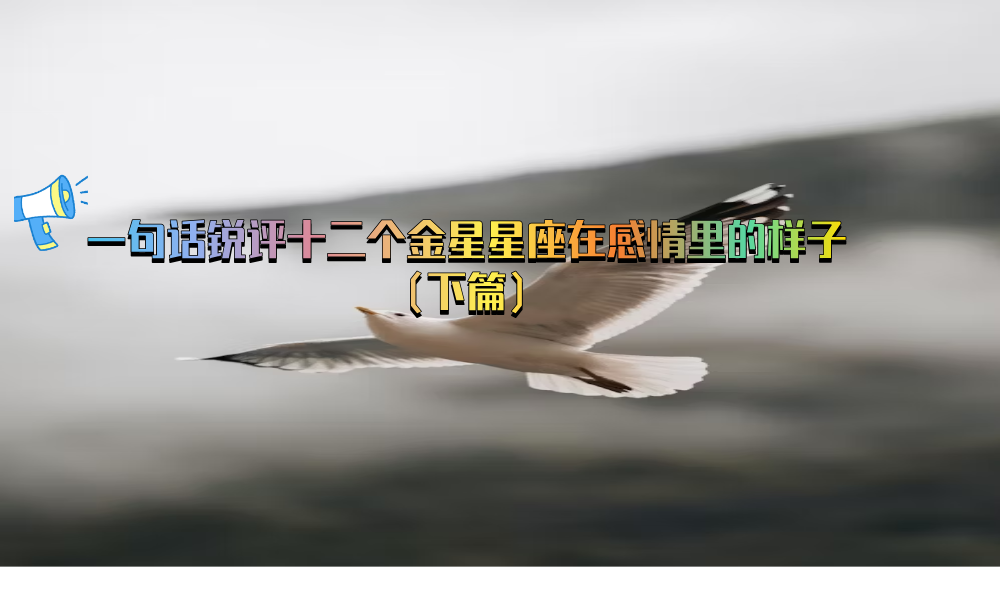 一句话锐评十二个金星星座在感情里的样子（下篇）