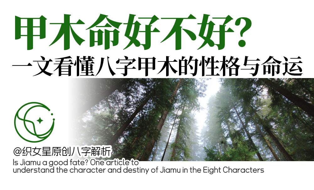 甲木命好不好