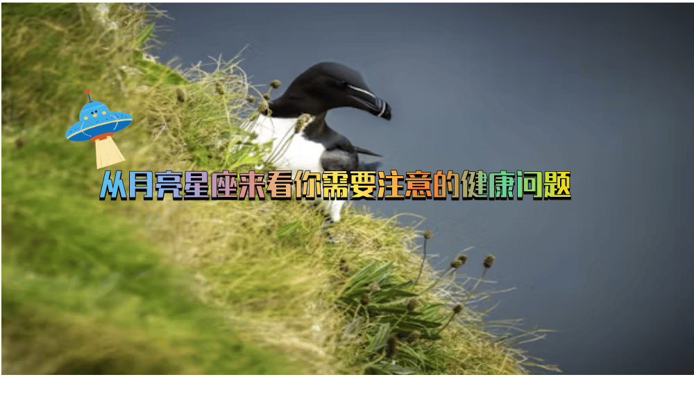 从月亮星座来看你需要注意的健康问题