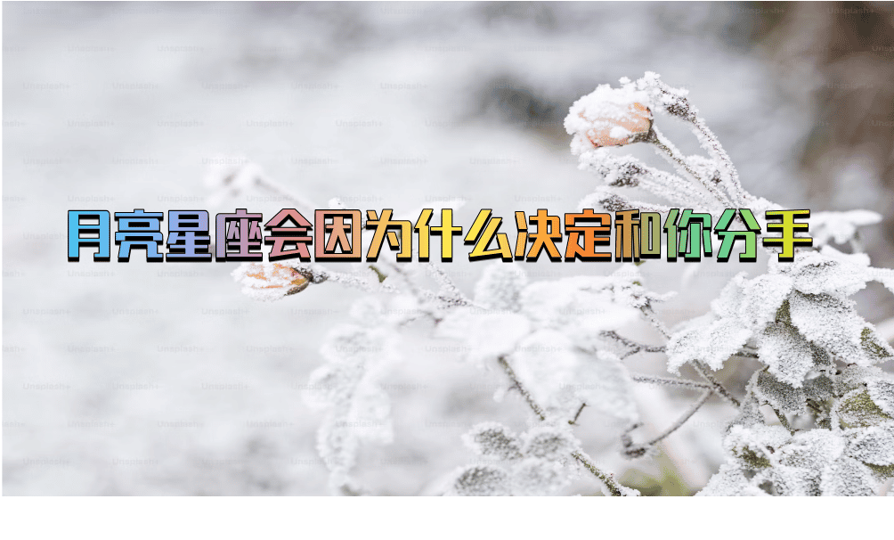 月亮星座会因为什么决定和你分手