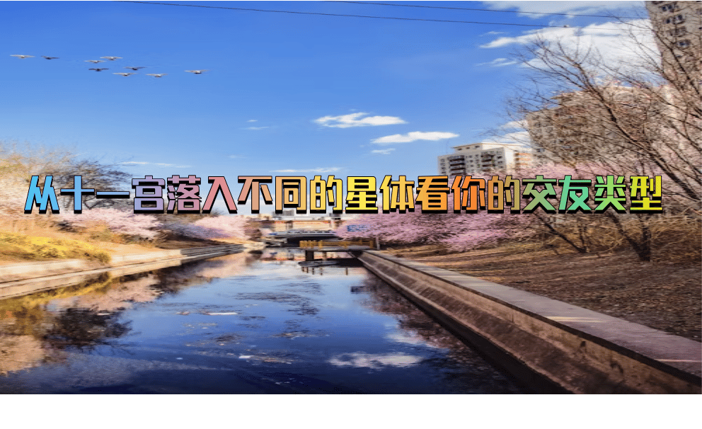 从十一宫落入不同的星体看你的交友类型