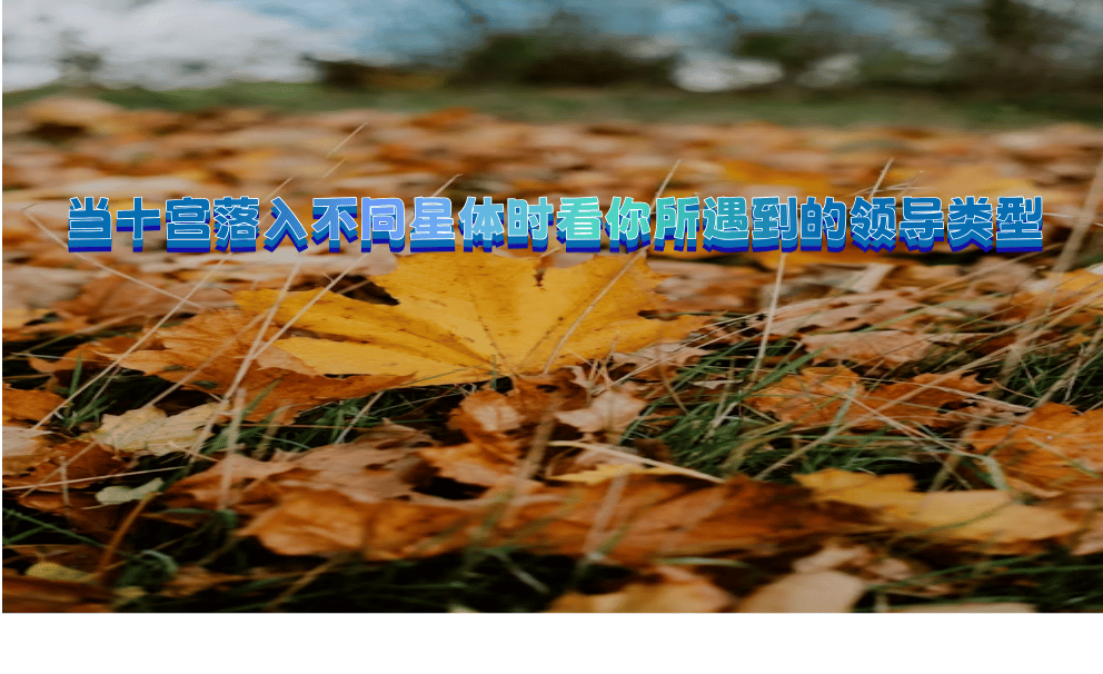 当十宫落入不同星体时看你所遇到的领导类型